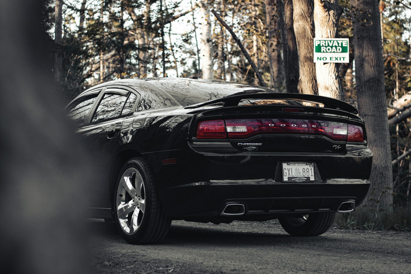 Innowacyjne tablice rejestracyjne przyszłości zrewolucjonizują nasze drogi